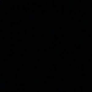 Meet your Posher, Alexia